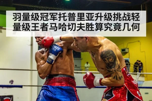 羽量级冠军托普里亚升级挑战轻量级王者马哈切夫胜算究竟几何