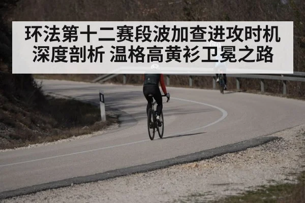 环法第十二赛段波加查进攻时机深度剖析 温格高黄衫卫冕之路