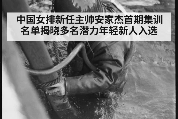 中国女排新任主帅安家杰首期集训名单揭晓多名潜力年轻新人入选